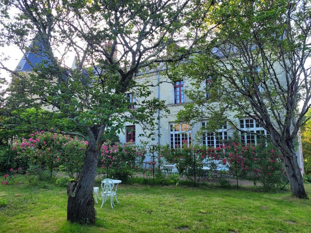 Castel Saint Laurent Langeais Εξωτερικό φωτογραφία