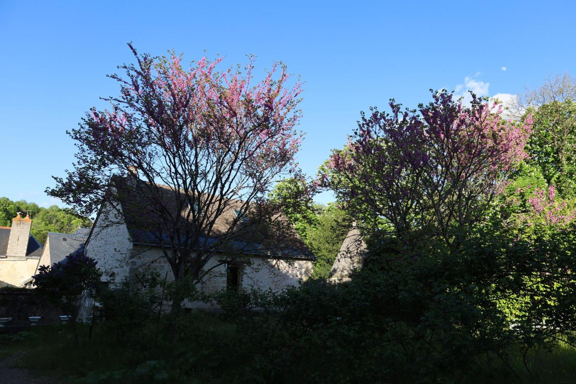 Castel Saint Laurent Langeais Εξωτερικό φωτογραφία